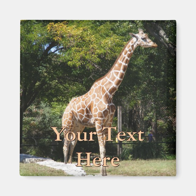 Giraffe Magnet (Front)