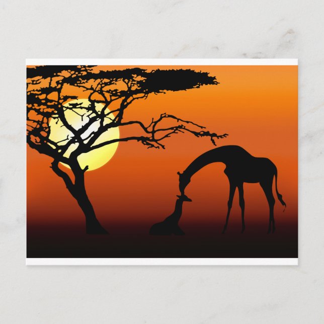 Giraffe Mother and Baby in African Sunset Postcard (Front)