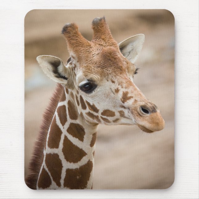 giraffe mouse pad (Front)