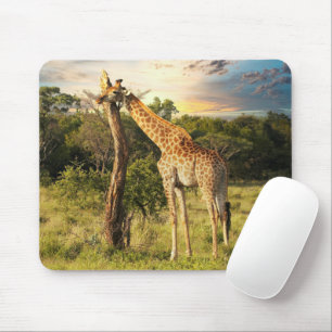 Giraffe  mouse pad