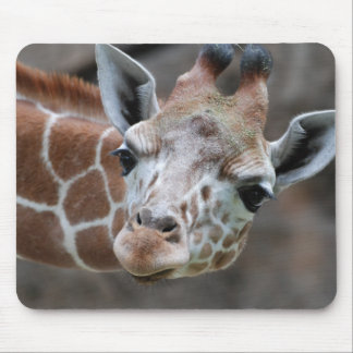 Giraffe Mouse Pad