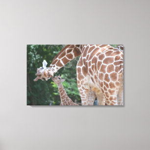 Giraffe mum and baby Poster Canvas Print