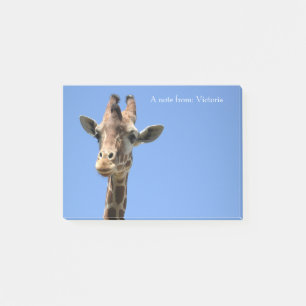 Giraffe Name Blue Cute Post-it Notes