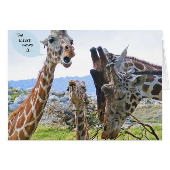 Giraffe News Card (Front Horizontal)