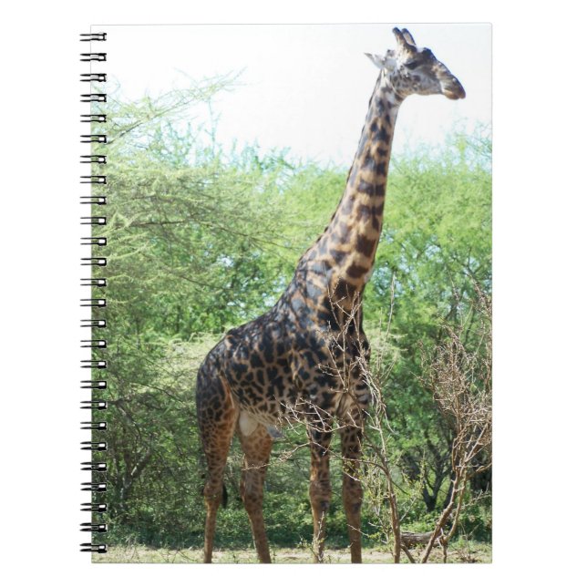 Giraffe Notebook (Front)