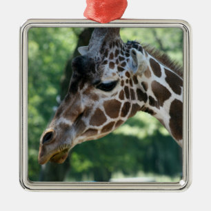 Giraffe Ornament