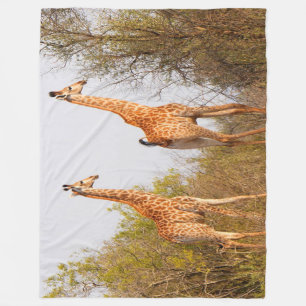 Giraffe Pair Fleece Blanket