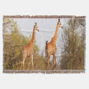 Giraffe Pair Throw Blanket