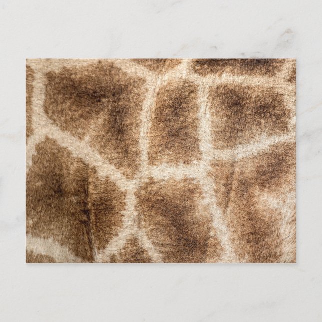 Giraffe pattern postcard (Front)