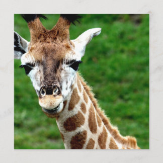 Giraffe Photo Invitation