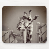 Giraffe Photograph - Vintage Style