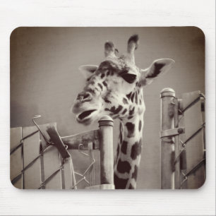Giraffe Photograph - Vintage Style Mouse Pad