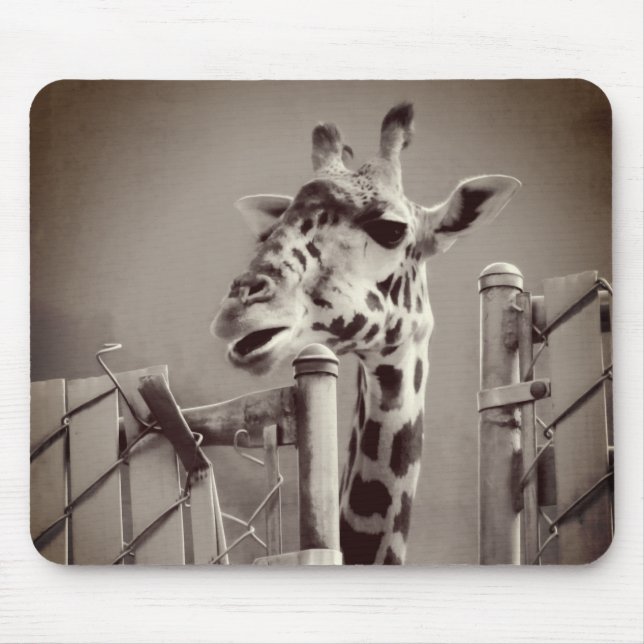 Giraffe Photograph - Vintage Style Mouse Pad (Front)