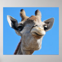 Giraffe photography profile