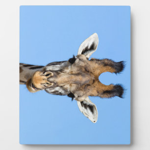 Giraffe Plaque