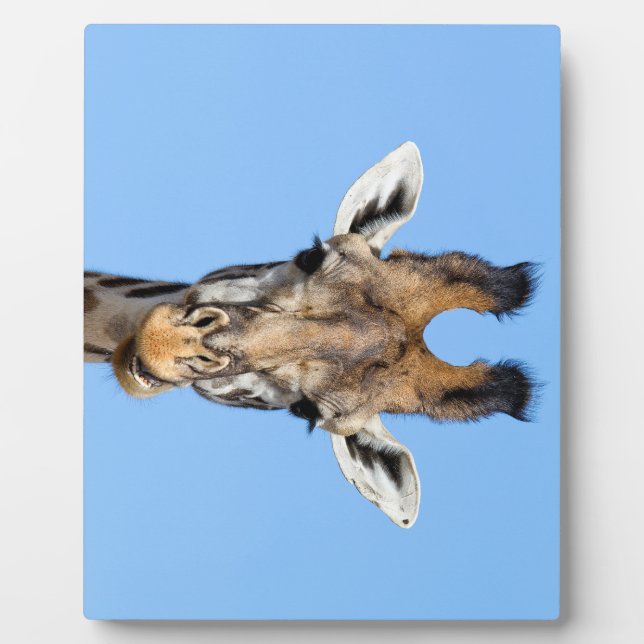 Giraffe Plaque (Front)