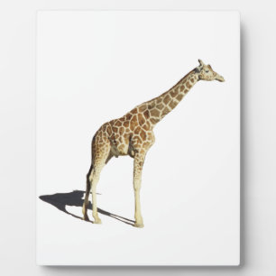 Giraffe Plaque