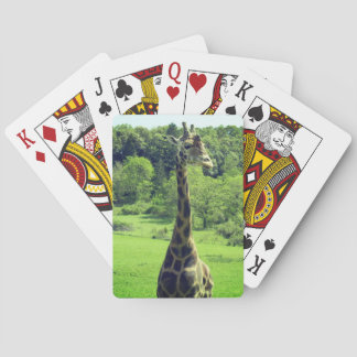 Giraffe Playing Cards