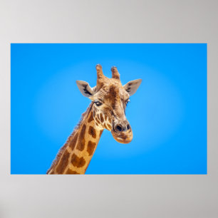 Giraffe Portrait against the Sky Poster
