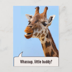 Giraffe Portrait custom text postcard