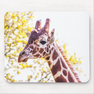 Giraffe Portrait Mouse Pad