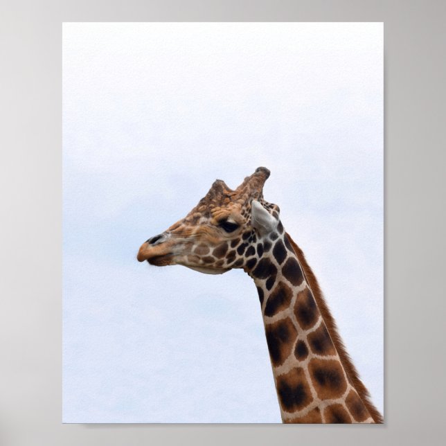 Giraffe Portrait Photo 106 Poster (Front)