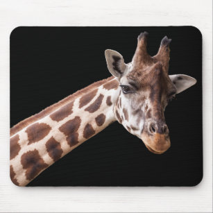 Giraffe Portrait Photo on Black Mouse Pad