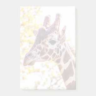 Giraffe Portrait Post-it Notes