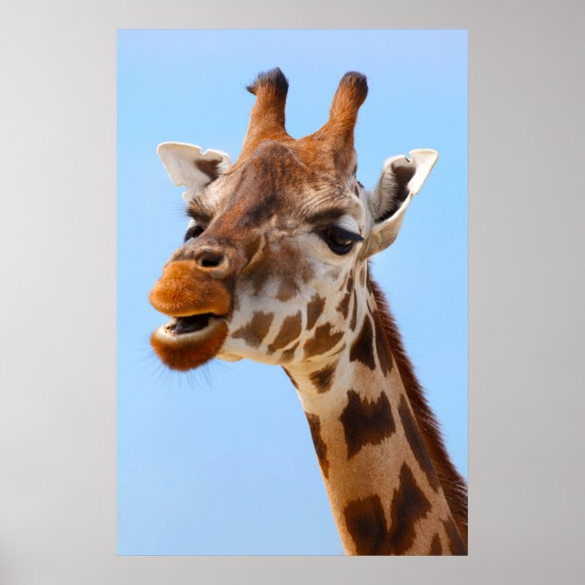 Giraffe Portrait poster (Front)