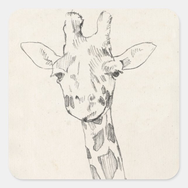 Giraffe Portrait | Sketch Square Sticker (Front)