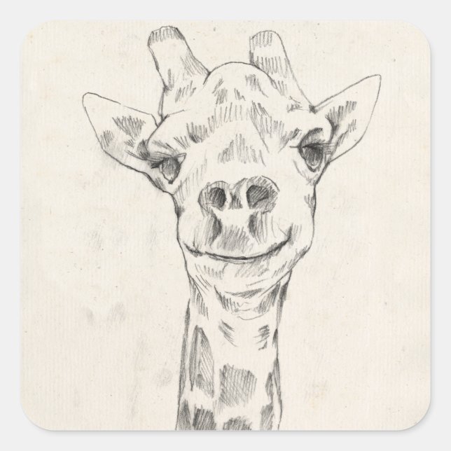 Giraffe Portrait Sketch Square Sticker (Front)