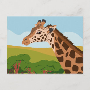 Giraffe Postcard