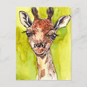 Giraffe Postcard