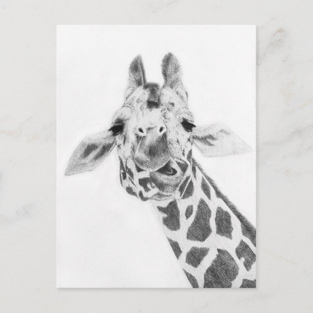Giraffe Postcard (Front)