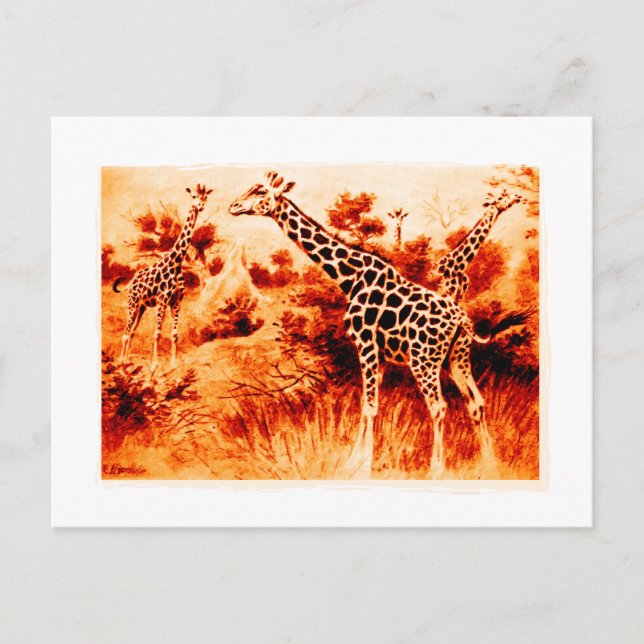Giraffe Postcard (Front)