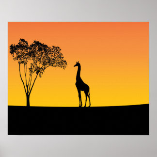 Giraffe Poster