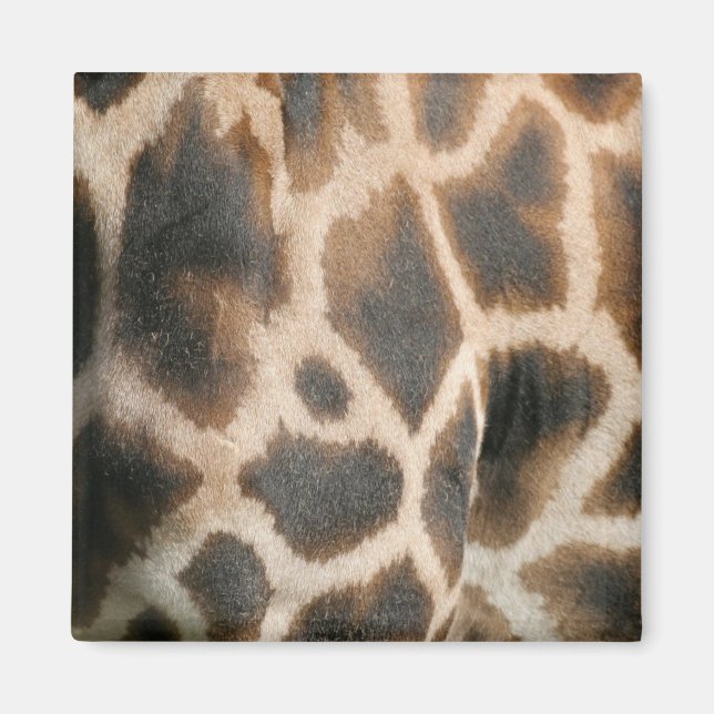Giraffe Print Pattern Magnet (Front)