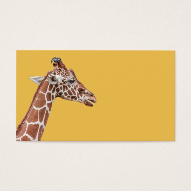 Giraffe profile (Front)