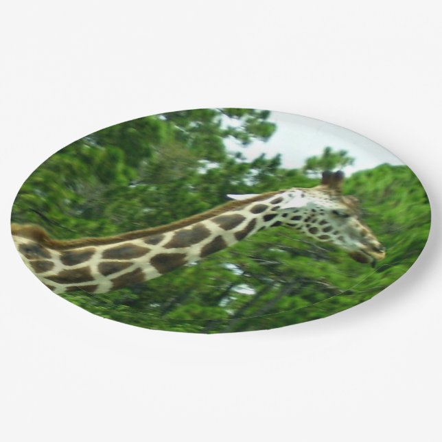 Giraffe Profile Paper Plates (Angled)