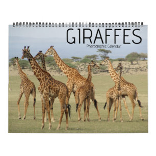 giraffe safari 2025 large calendar