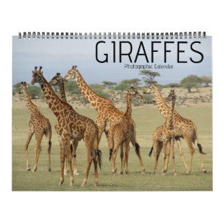 giraffe safari 2027 large calendar