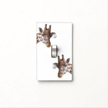 Giraffe Safari Animal Photo Portraits