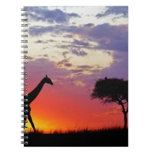 Giraffe silhouetted at sunrise, Giraffa Spiral Notebook