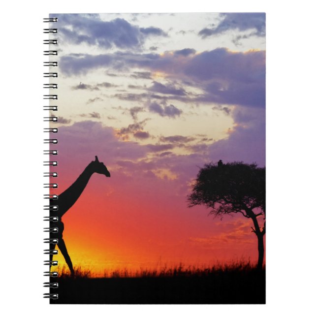 Giraffe silhouetted at sunrise, Giraffa Spiral Notebook (Front)