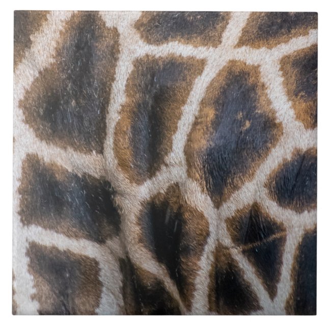 Giraffe skin pattern up close ceramic tile (Front)