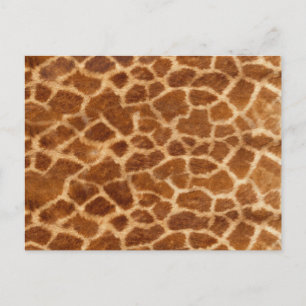 Giraffe Skin Postcard