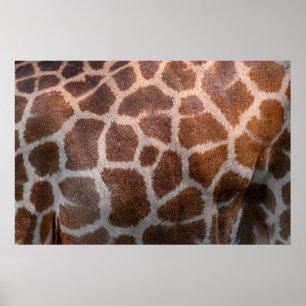 Giraffe skin texture poster