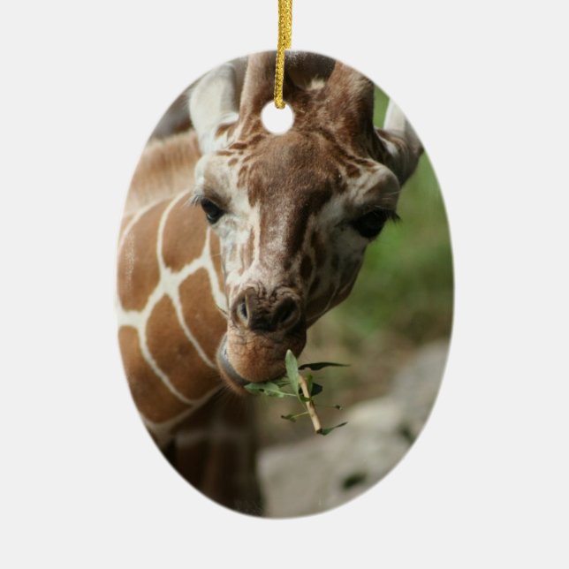 Giraffe Snack Ornament (Front)
