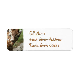Giraffe Snack Return Address Label