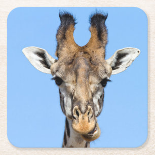 Giraffe Square Paper Coaster